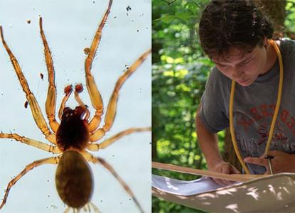 365足彩外围 student at Pine Lake conducting research 和 spider